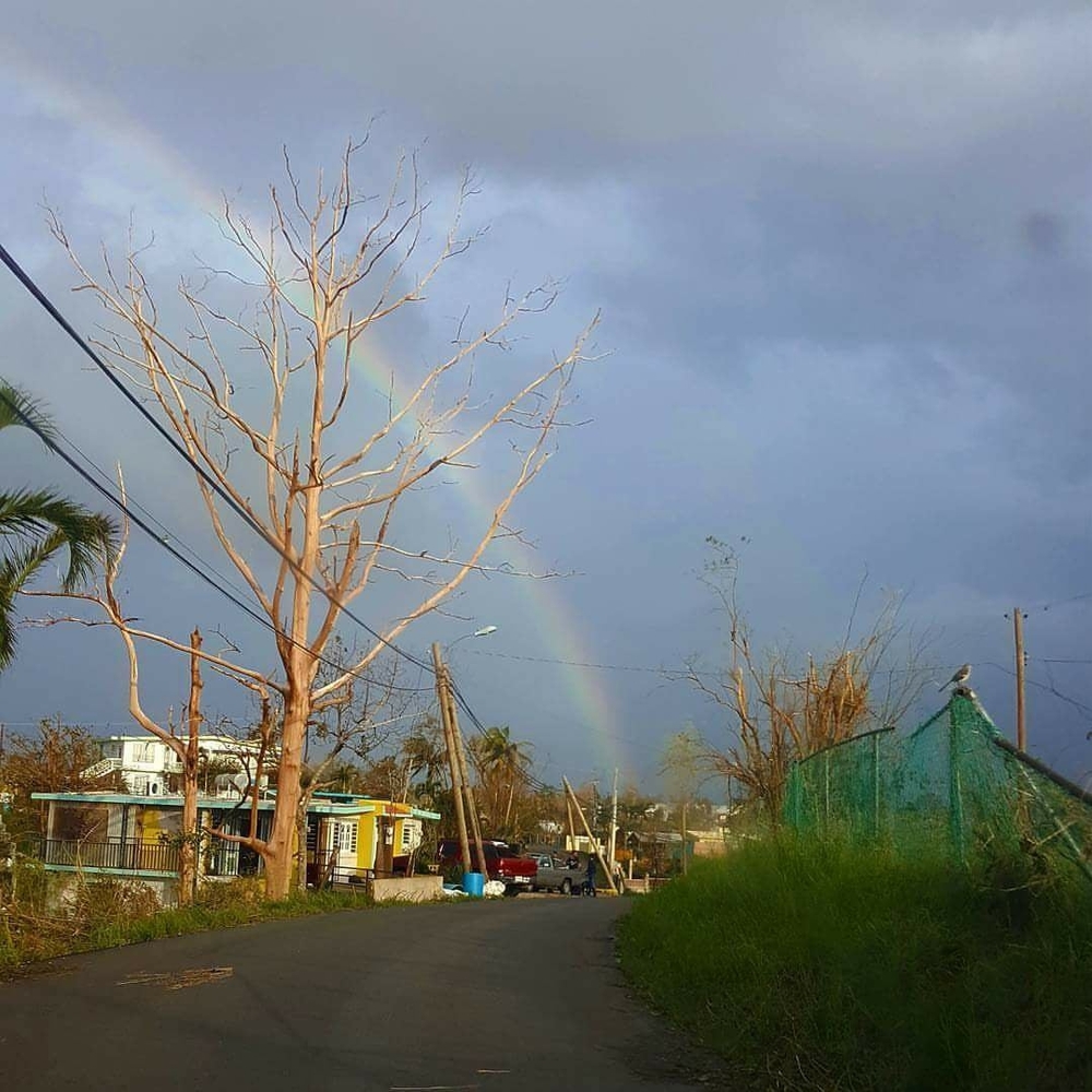 Meet your Posher, Carmen